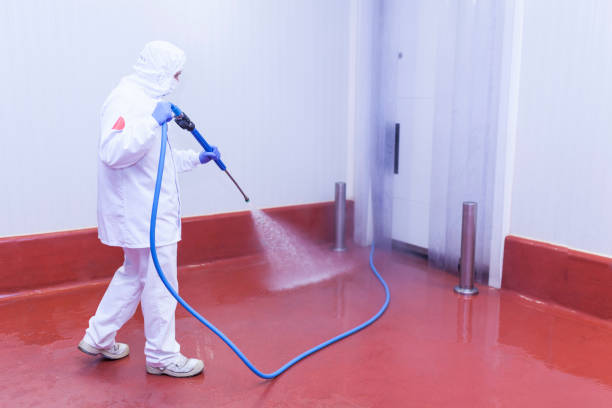Best House Exterior Washing  in Hammonton, NJ